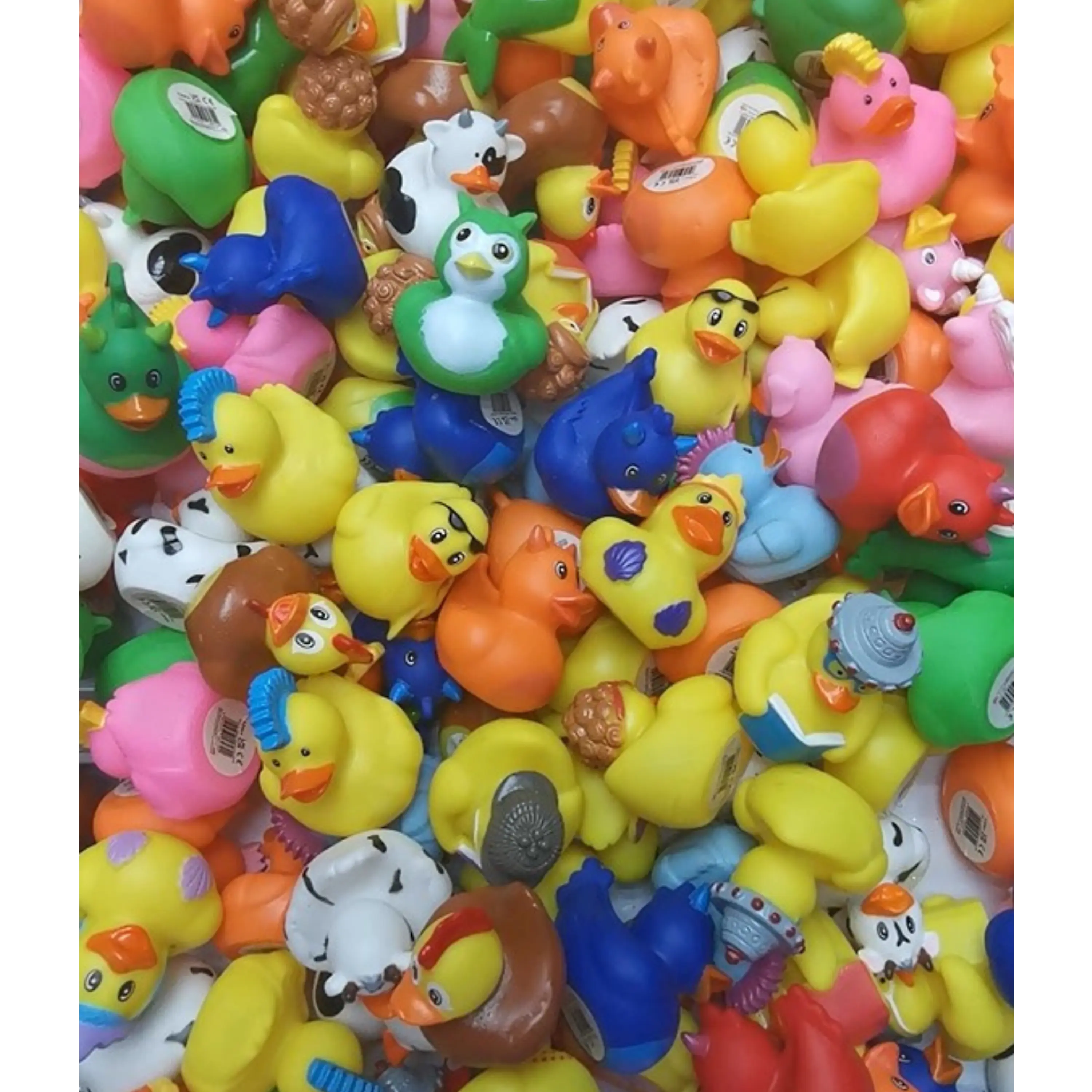 Petits Canards - Avranches Automatic