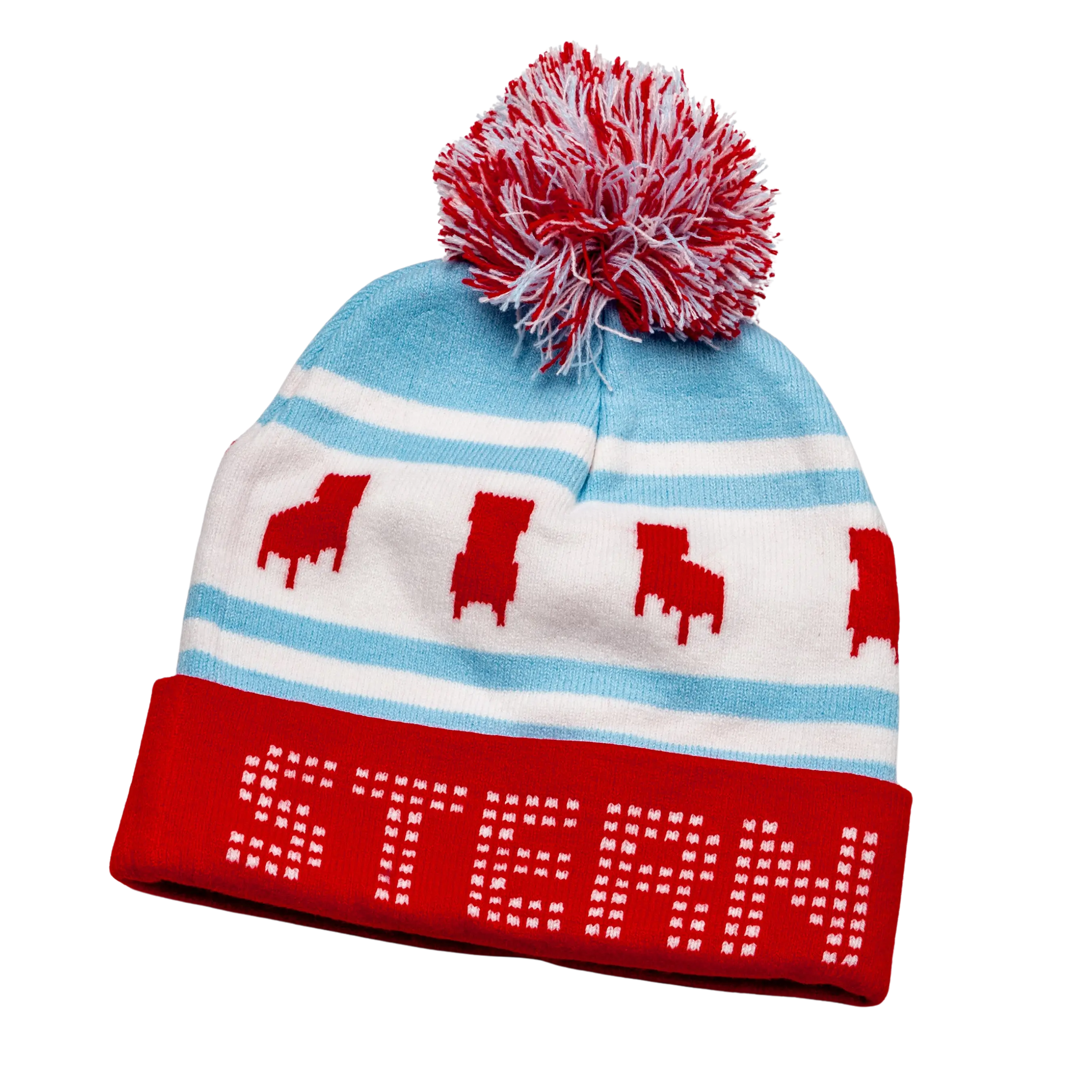 Stern Chicago Beanie
