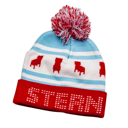 Stern Chicago Beanie